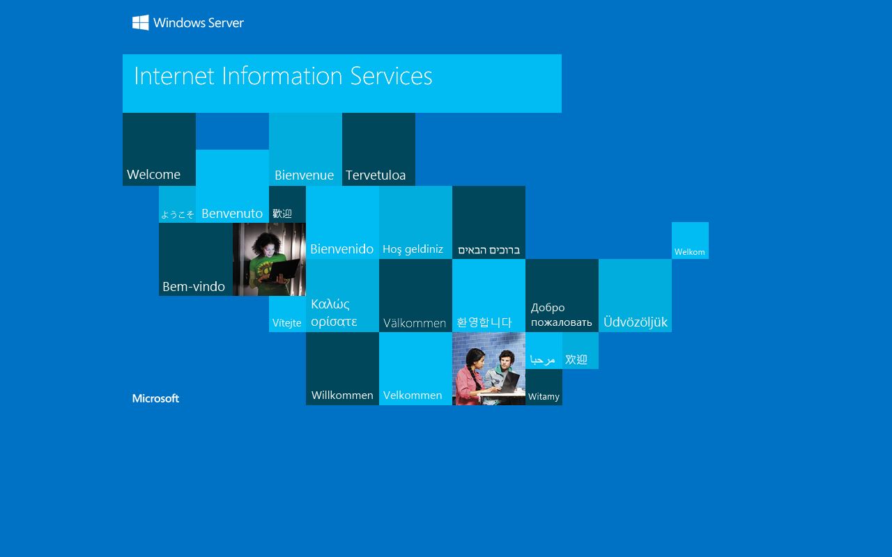 Wayne County inmate search portal homepage with navigation options for inmate lookup and booking records